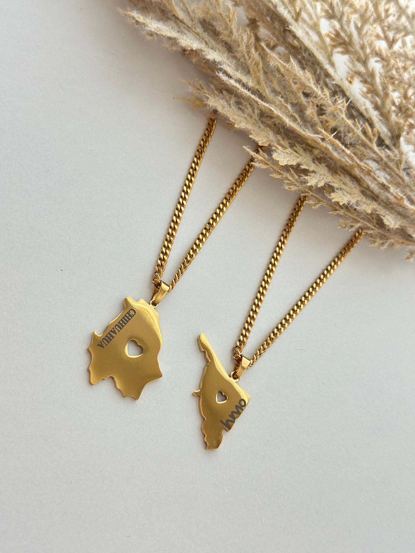 Chihuahua Querida Necklace🍎✨
