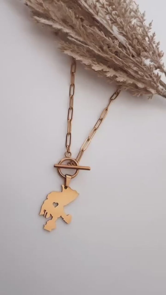 Estados Choker Necklace